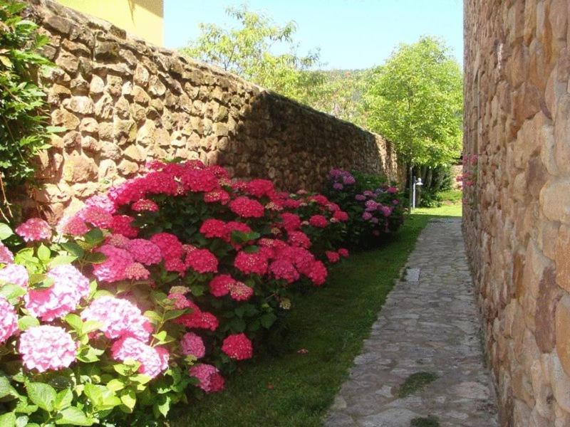 Posada Los NogalesBarcenilla エクステリア 写真